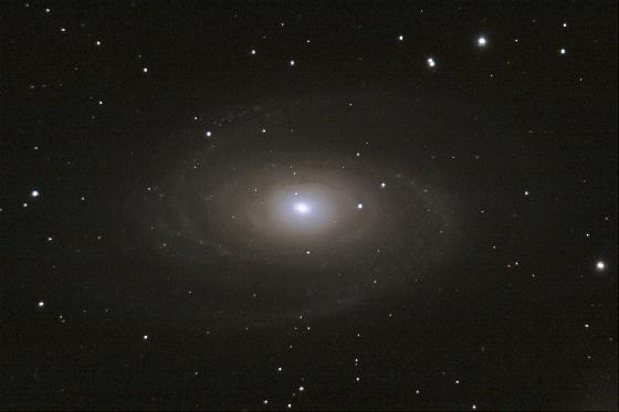M81 M81