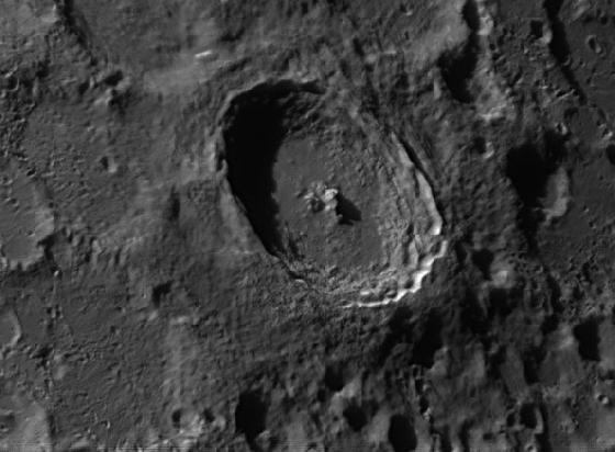 Lune Tutu