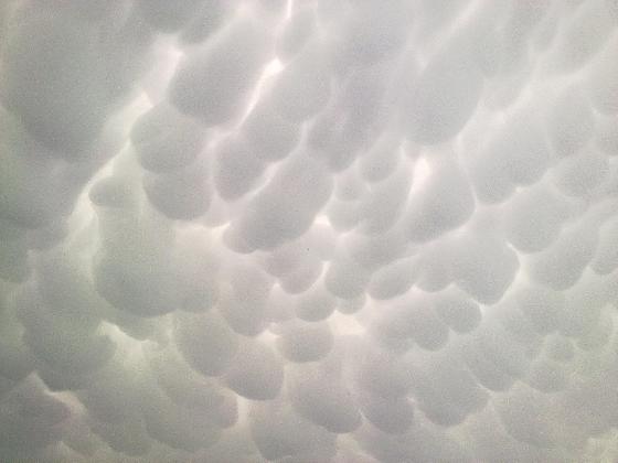 Altocumulus Mammatus