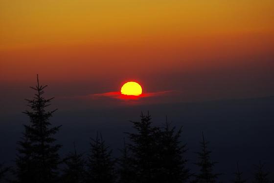 suc au may suc au may