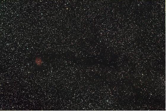 cocoon+barnard 168