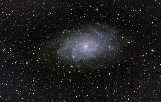 M33