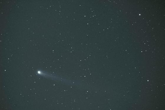 Lovejoy Lovejoy