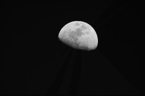 Lune Lune