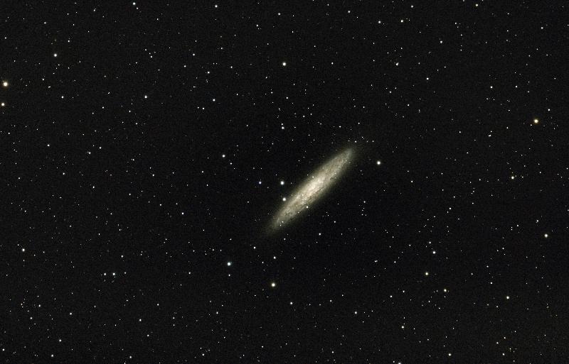 NGC 253 Galaxie du Sculpteur NGC 253 Galaxie du Sculpteur