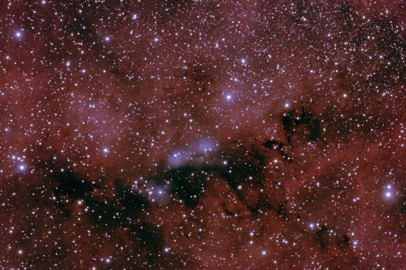NGC 6914 et VdB131 et 132 NGC 6914 et VdB131 et 132
