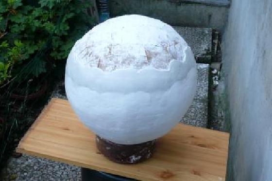 Ma Lune creation carton et pate a durcir Ma Lune creation carton et pate a durcir