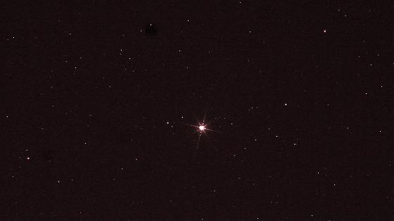 Procyon le 18 02 2013 Procyon le 18 02 2013