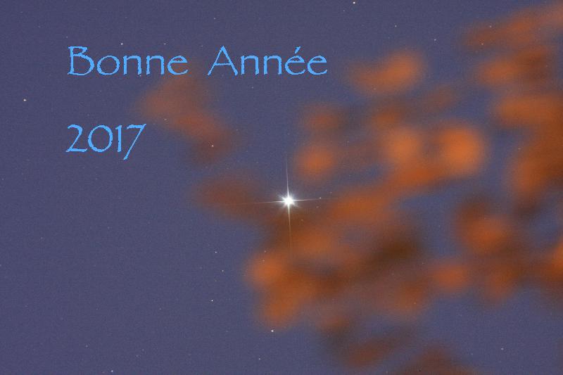 Bonne Année 2017