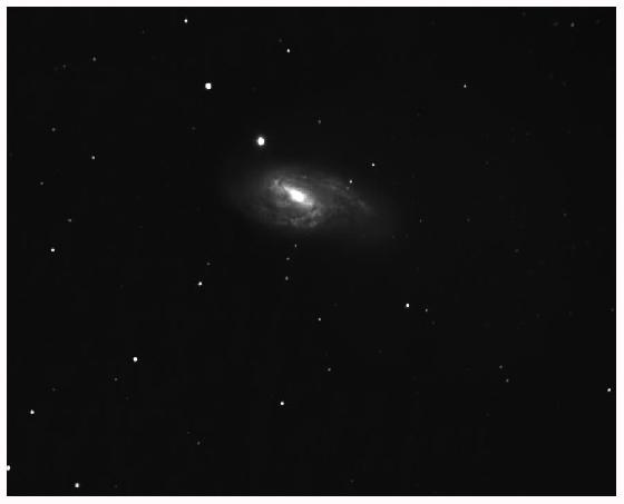 M 65
