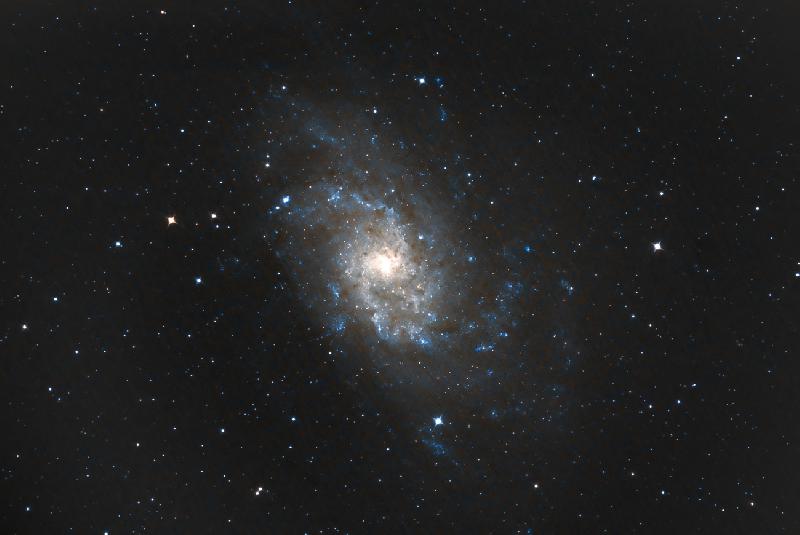 M33