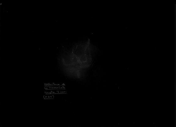 nebuleuse tarentule