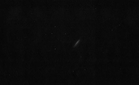 NGC 7331