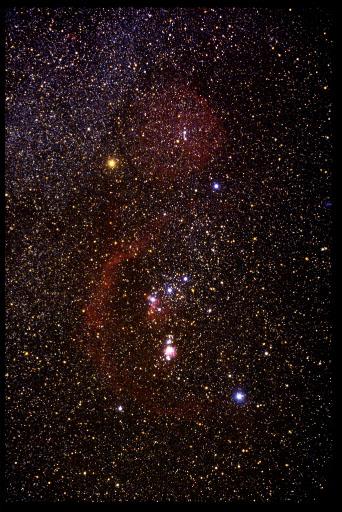 orionis