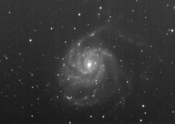 m 101 no