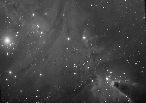 ngc 2264 h-alpha