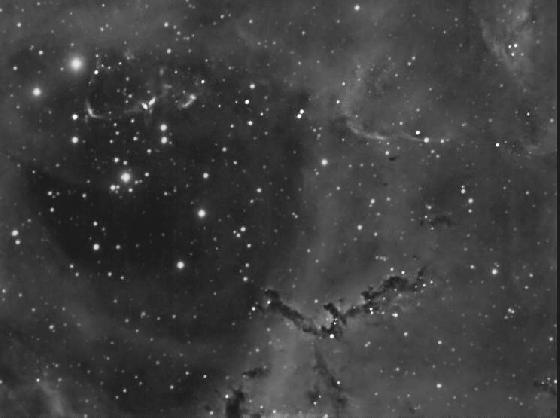 rosette & 2244 rosette & 2244