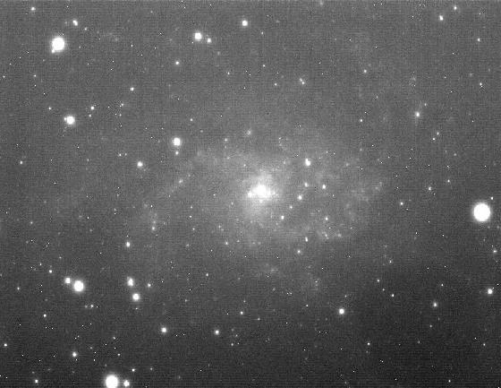 m 33 brute m 33 brute