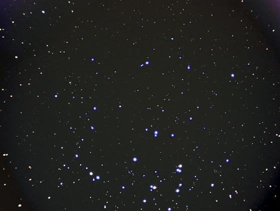 m44 chibani