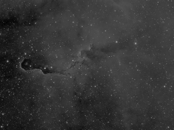 Trunk Nebula