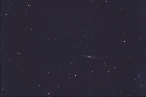 NGC 4565