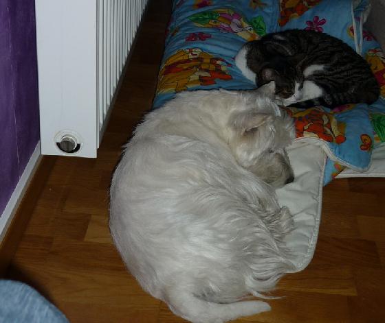 Newton et Lilly Newton et Lilly
