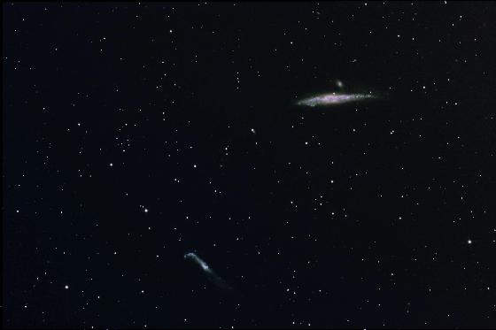 NGC 4631   galaxie de la baleine