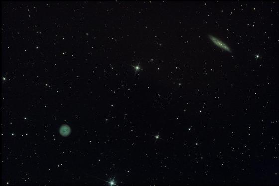 M97 Le hibou + M108 Galaxie