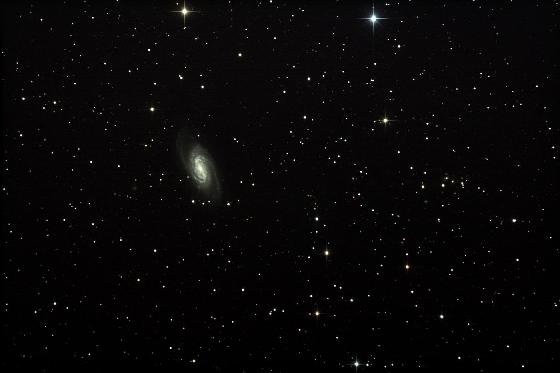 Galaxie NGC 2903