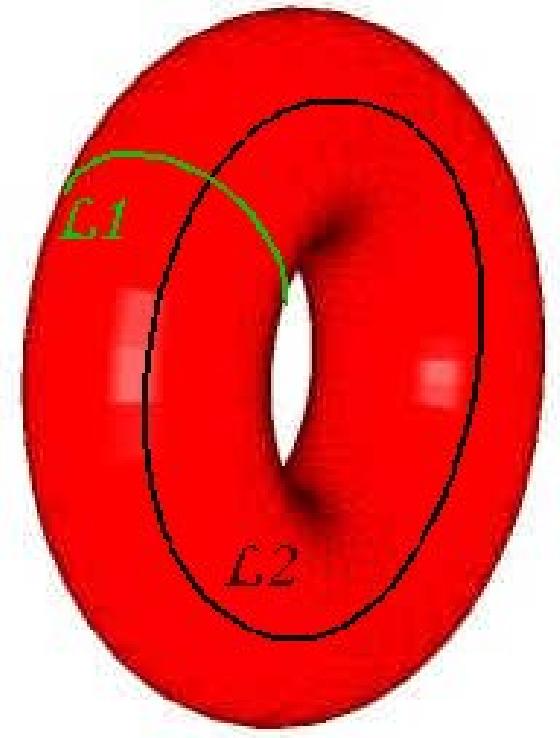poincare02