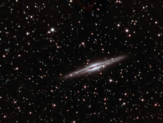 NGC891