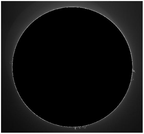 disque protus disque protus