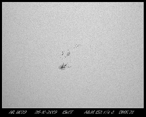 AR 11029