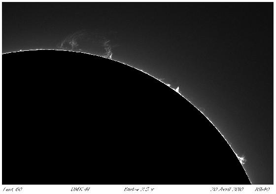 Protus du 20 Avril-1