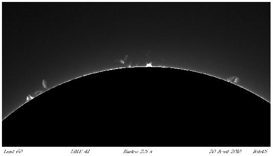 Protus du 20 Avril-2