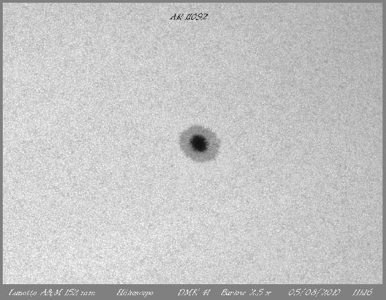 AR 11092 Barlow 2x AR 11092 Barlow 2x