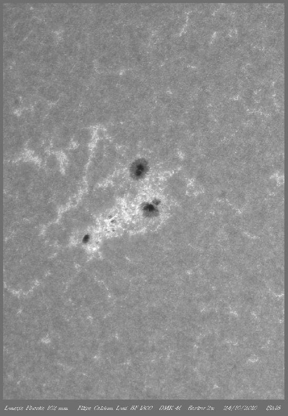 AR 11117 Calcium