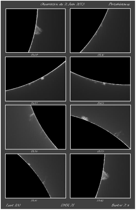 observation protus 02-06 observation protus 02-06