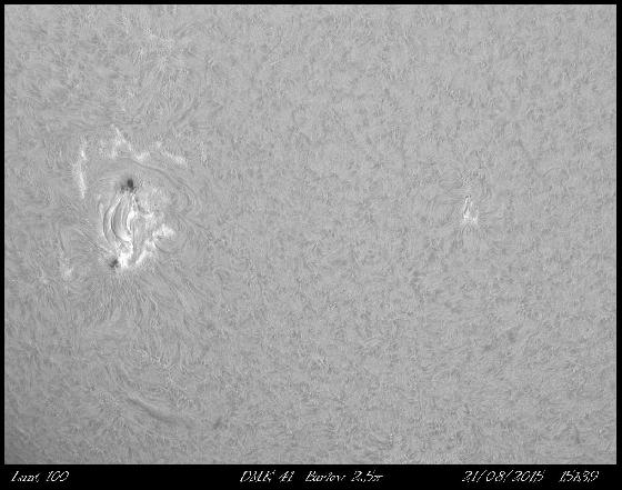 AR 2403 H-alpha AR 2403 H-alpha