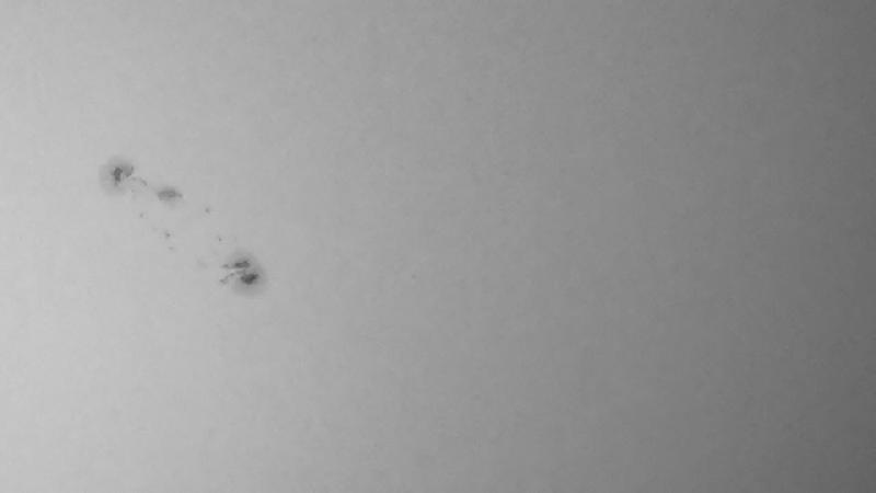 Gros plan sur la tache solaire 2644