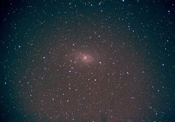M33