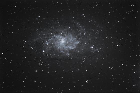 M33