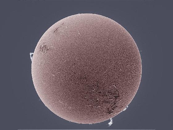 Soleil H-alpha 29/01/14