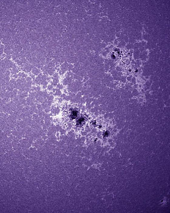 AR1967-AR1968 Calcium