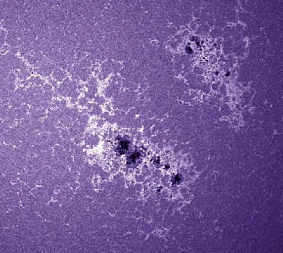 AR1967-AR1968 Calcium