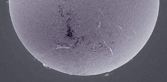  sun negatif 13/11/14