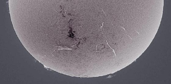  sun negatif 13/11/14