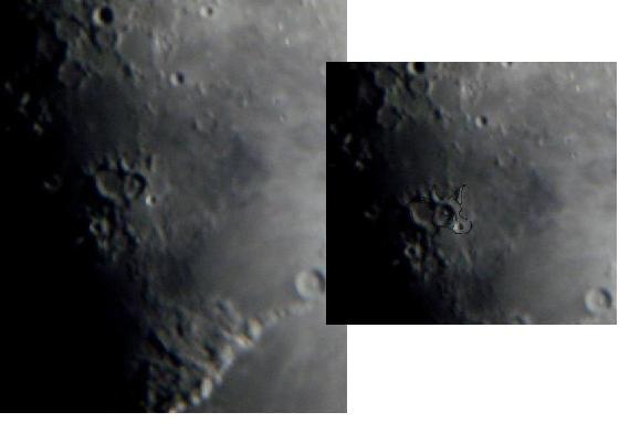 bestiaire lunaire