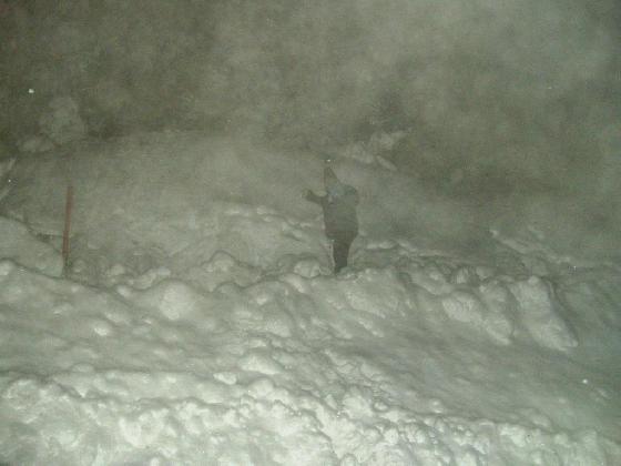 yeti 1