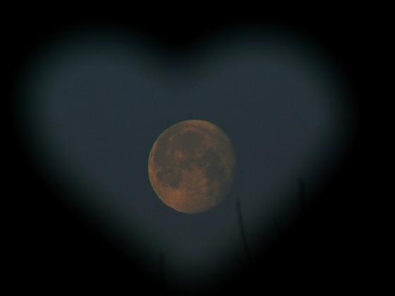 heart of moon